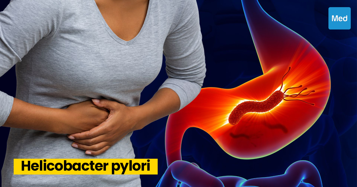 Helicobacter pylori : Comprendre, Diagnostiquer et Traiter