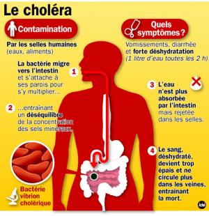 Le ministère de la Santé met en garde contre le choléra  
