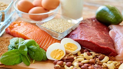 البروتين : المكون الأساسي لخلايا الجسم