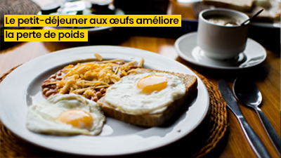 Le petit-déjeuner aux œufs améliore la perte de poids