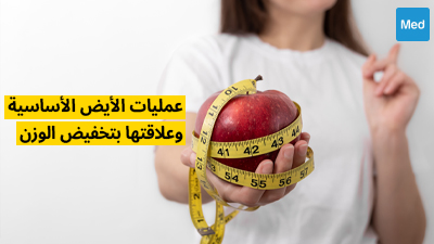 عمليات الأيض الأساسية وعلاقتها بتخفيض الوزن