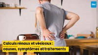 Calculs rénaux et vésicaux : causes, symptômes et traitements