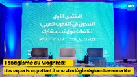 Tabagisme au Maghreb : des experts appellent à une stratégie régionale concertée