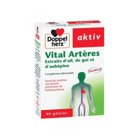 AKTIV VITAL ARTERES - 90 Gélules